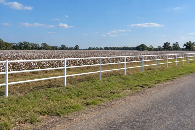 Pipe & Ranch Fence